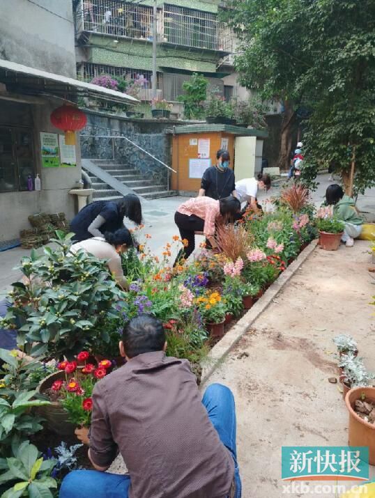 在广州市越秀区云鹤南街社区居民在社区的种植槽内开展活动1.jpg